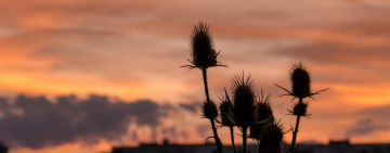 Ежедневный гороскоп: 25 октября