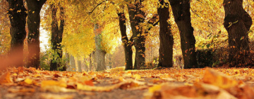 Расписание богослужений на неделю в храме Иоанна Богослова (28.10 - 03.11)