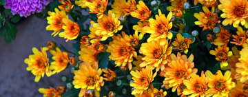 АСТРОПРОГНОЗ НА 30 ОКТЯБРЯ