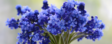 ГОРОСКОП НА СЕГОДНЯ: 31 ОКТЯБРЯ