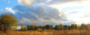 Расписание богослужений в храме Иоанна Богослова (04.11- 10.11)