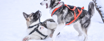 Когда в Украину придут настоящие холода? Ответы синоптиков