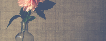 Ежедневный гороскоп для всех знаков Зодиака