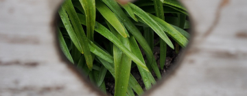 ГОРОСКОП НА 13 НОЯБРЯ