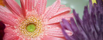 14 НОЯБРЯ: ГОРОСКОП ДЛЯ ВСЕХ ЗНАКОВ ЗОДИАКА