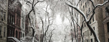 Францию накрыли снегопады, есть жертвы. В Венеции - ЧП из-за наводнения