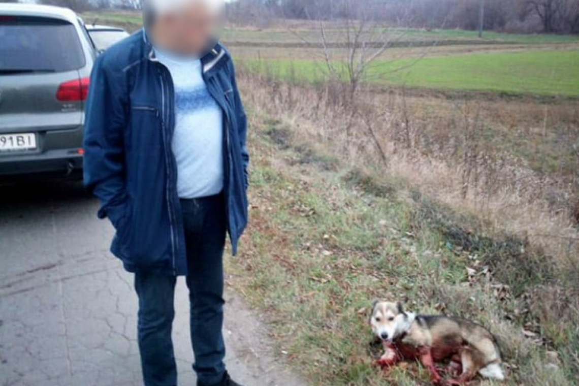 Проти чиновника, який знущався над собакою, відкрито кримінальну справу