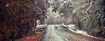 Расписание богослужений в храме Иоанна Богослова г.Арциз (02.12-08.12)