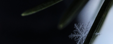 2 ДЕКАБРЯ: АСТРОПРОГНОЗ