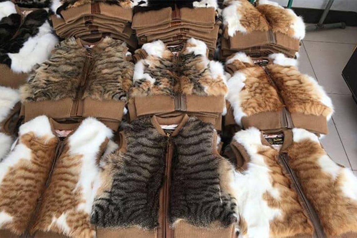 В сэконд-хенде Львова продают одежду из меха котов