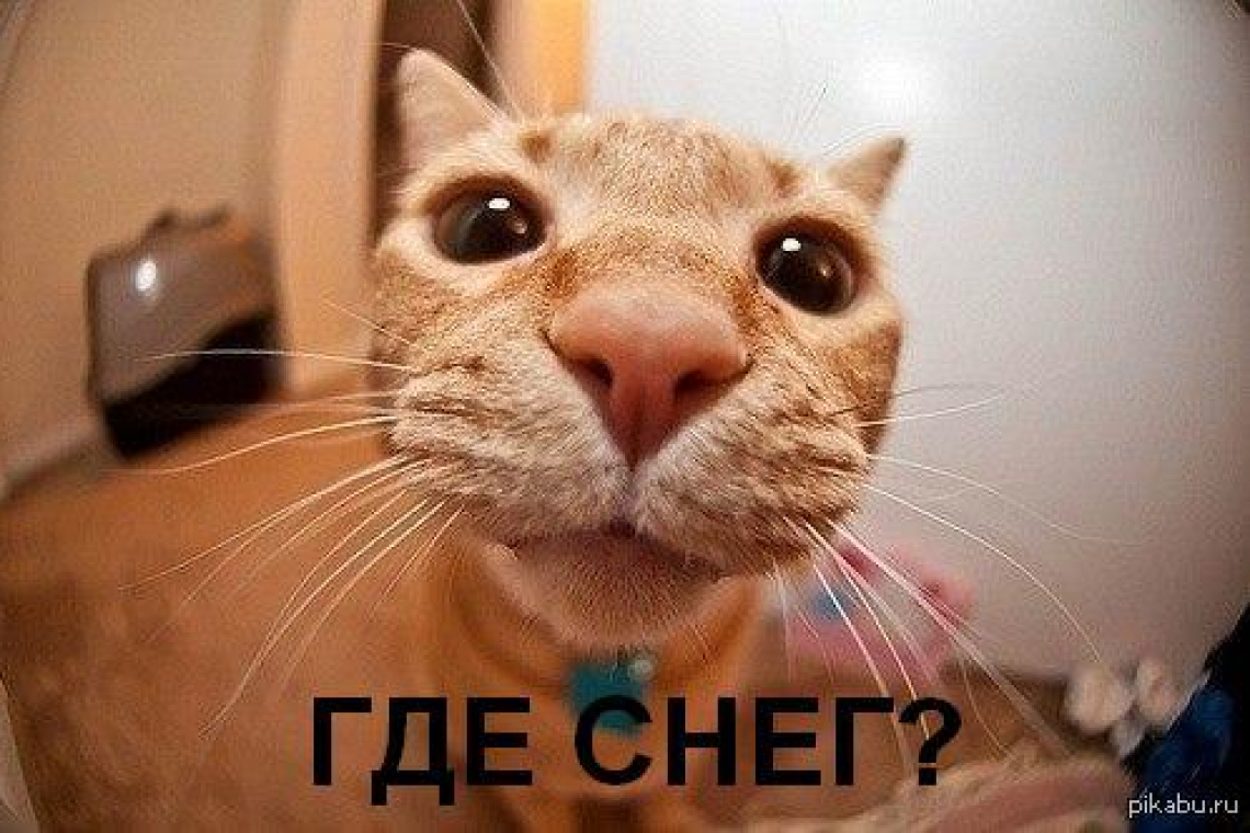 7 дней до Нового года: "КОГДА СНЕГА НЕТ СОВСЕМ...": креатив и чувство юмора