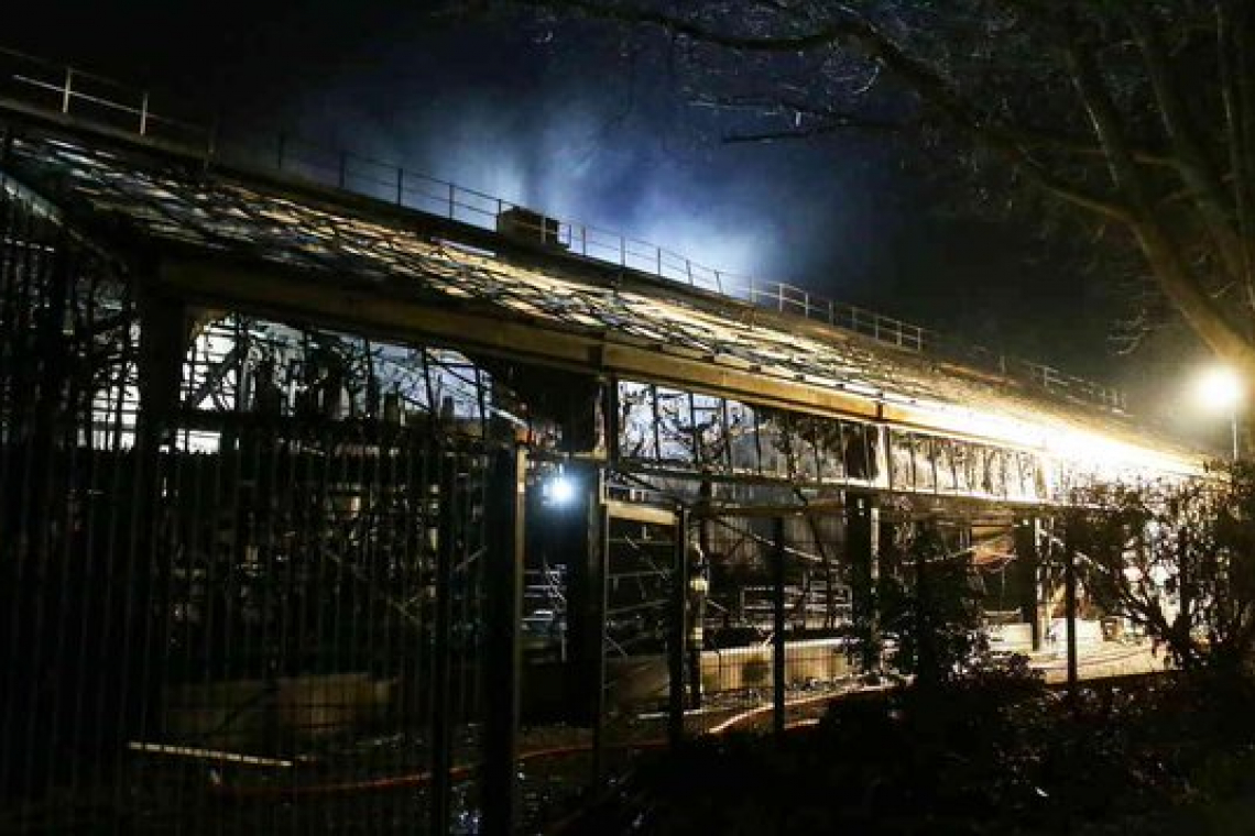 В Германии из-за ночного пожара в зоопарке погибли все животные
