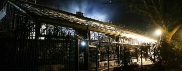 В Германии из-за ночного пожара в зоопарке погибли все животные