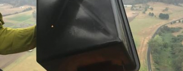 В Австралії з повітря скинули тисячі кілограмів овочів, щоб нагодувати постраждалих від пожеж тварин