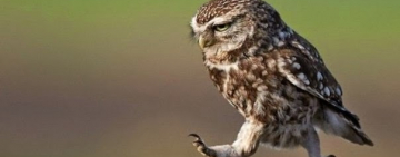 ДНЕВНИК ПОХУДЕНИЯ ПОДПИСЧИЦЫ "УГОЛ ОБЗОРА": ОЙ, ВСЁ...