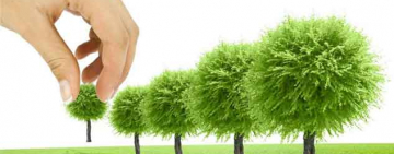 Арциз долучається до Всеукраїнської акції «1 000 000 ДЕРЕВ ЗА 24 ГОДИНИ»