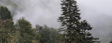 Расписание богослужений в храме Иоанна Богослова на неделю 