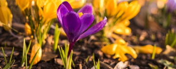 Гороскоп на неделю с 23 по 29 марта 2020