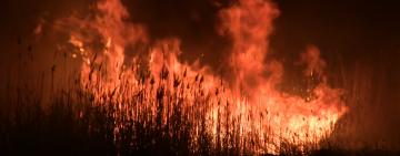 Пожары,которых можно избежать.