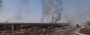  "Жорстока та зла пожежа" на території заповідних земель у районі Маяк 