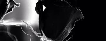 Минздрав утвердил инструкцию по захоронению людей, которые скончались от Covid-19.