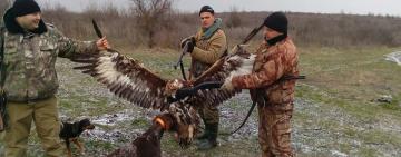 "БРАКОНЬЕРЫ В ПОГОНАХ" из Одесской области: проводится служебное расследование