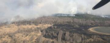 Задержан поджигатель, из-за которого в зоне Чернобыля  произошёл масштабный пожар