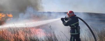 Уряд хоче підвищити штрафи за підпал сухостою. Чому це важливо?