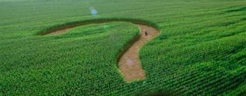 Закон про ринок землі: документ направлено на підпис Президенту, три нардепа вже звернулися до КСУ