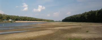  В Україні найнижчий рівень води у річках за останні 100 років