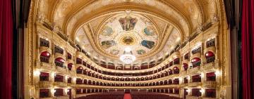 История о том, как театр приехал ко мне домой