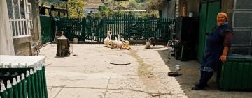 Бабушка, я скоро приеду. Ты только дождись!