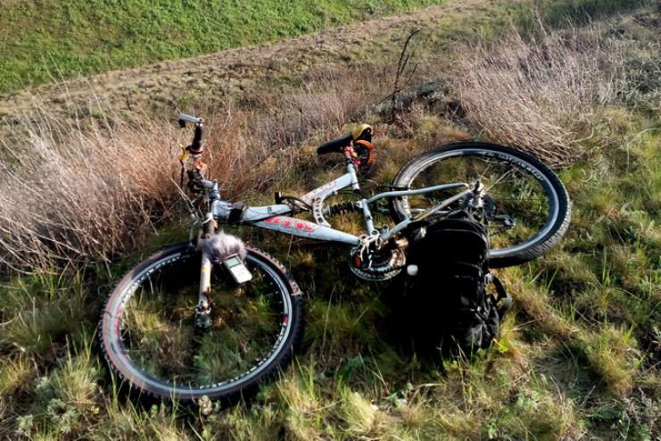 Звуки природы.Птичий хор Бессарабии.