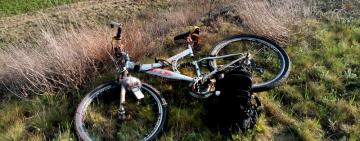 Звуки природы.Птичий хор Бессарабии.