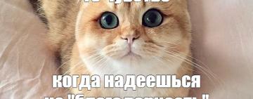 Медицина наизнанку: зарплаты, 
