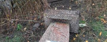 В двух населенных пунктах Тарутинского района во время поминальных дней были отмечены случаи вандализма