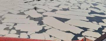 В порту "Южный" из-за аварии судно сбросило в море 8,4 тонн пальмового масла