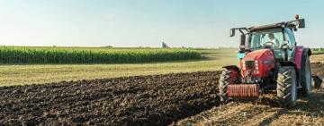 В Килийской ОТГ из-за неурожая и долгов добровольно ушел из жизни фермер