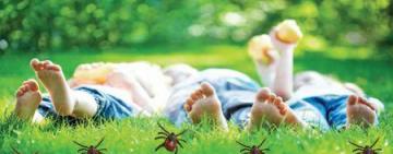 КЛЕЩ И ТЕПЛО! Из серии: клещи тоже хотят кушать.