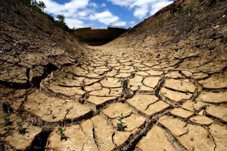 Не будьте равнодушными: на сайте президента создали петицию в поддержку аграриев Бессарабии, которые терпят убытки вследствие засухи