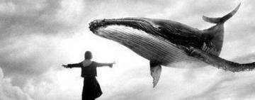  УКРАИНЕЦ ПОДОЗРЕВАЕТСЯ В ОРГАНИЗАЦИИ СМЕРТЕЛЬНОЙ ИГРЫ "СИНИЙ КИТ"