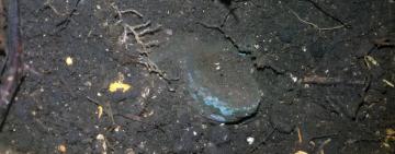 Житель Измаила обнаружил находку времен турецкой войны