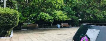 В Килии заменили лавочки для отдыха в Сквере Памяти