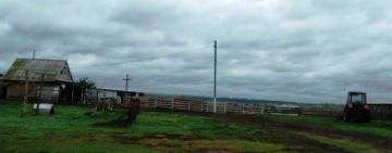 На юге Одесской области стая шакалов напала на отару овец 