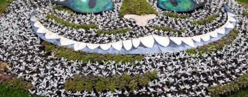 В Киеве открылась уникальная выставка сказочных инсталляций из цветов (фото)