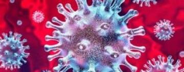 В Україні зафіксовано 24012 випадків коронавірусної хвороби COVID-19 