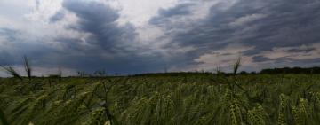 Президент учредил еще один праздник - День фермера