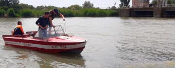 За три дня в Одесской области утонули уже пятеро людей