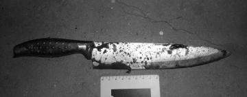 В полиции сообщили подробности жестокого убийства в Килии