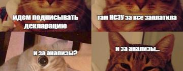 Бесплатная медицинская помощь, электронное направление и прочие новшества медицины 
